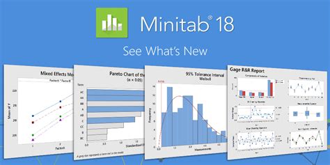 What is Minitab Software: A Tool That Speaks the Language of Data and Maybe Even Cats